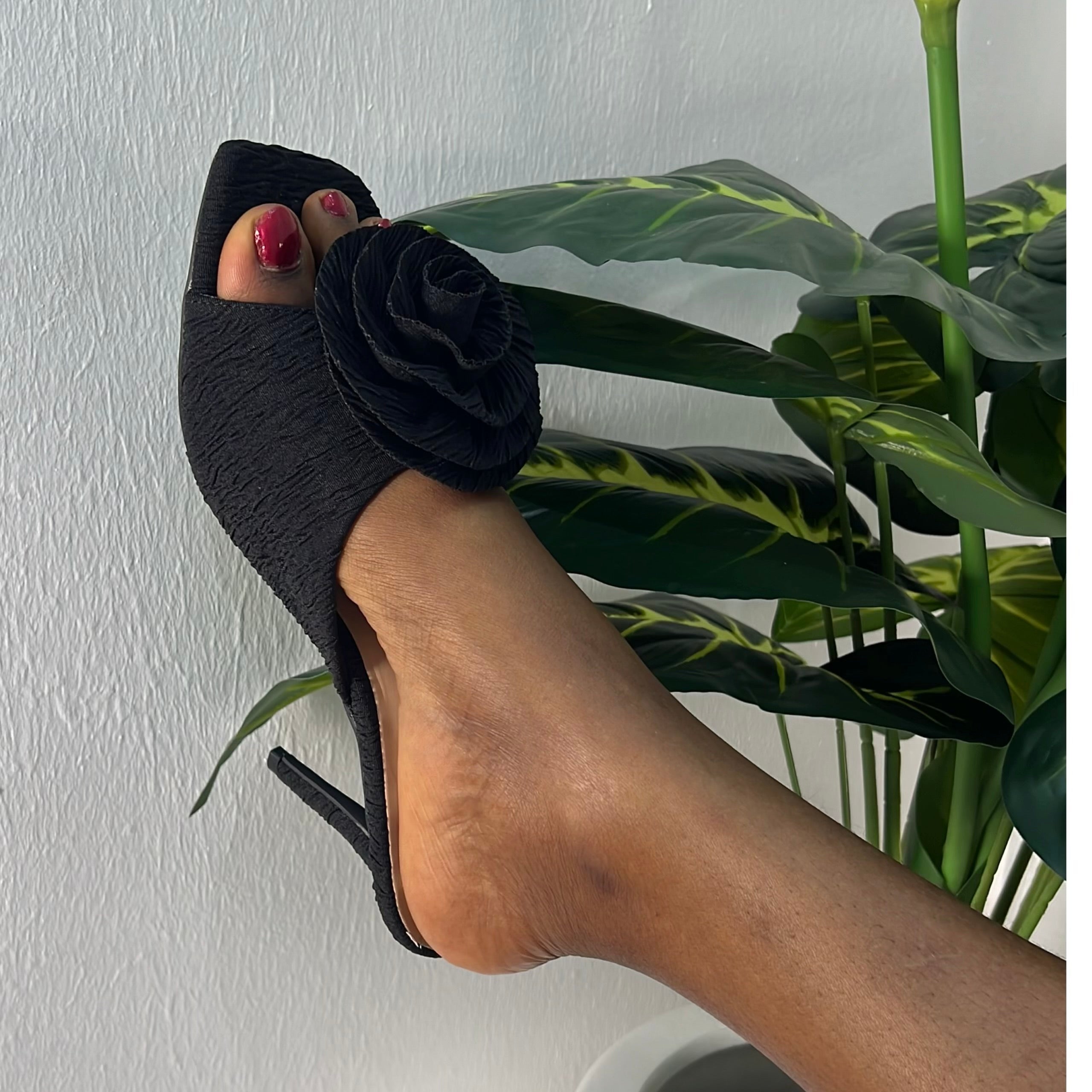 Basis Rose Heeled Mule in Black