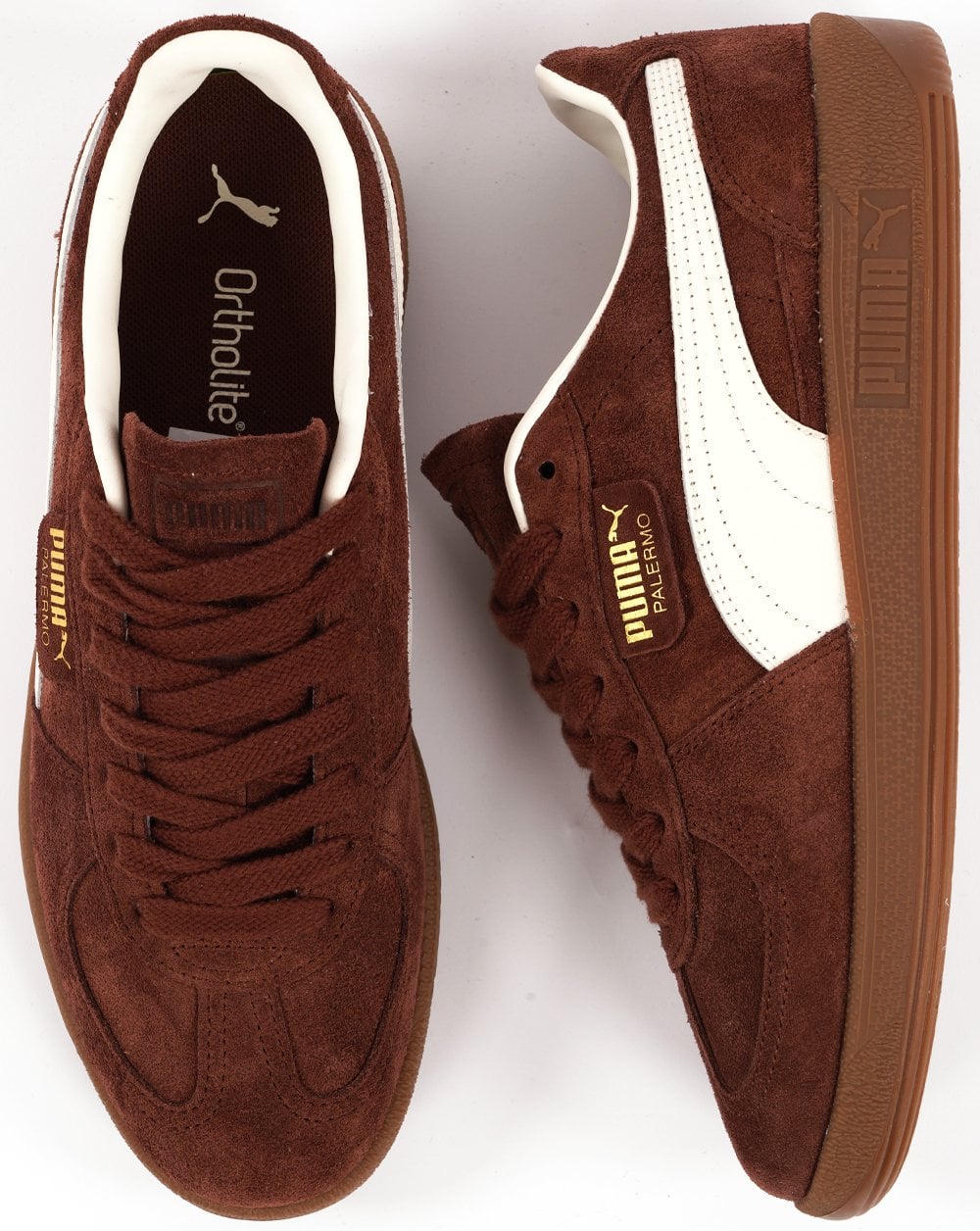 Puma Warmwhite Palermo Sneakers in Chocotart