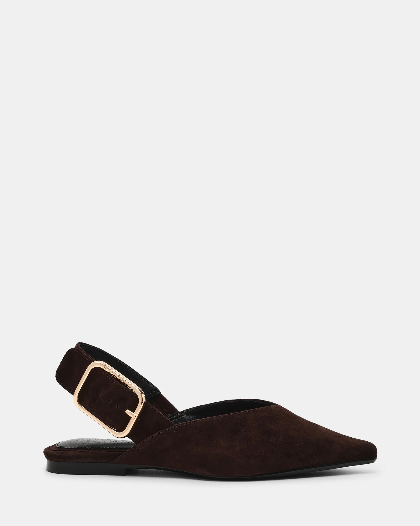 Steve Madden Suede Buckle Detail Pointed Toe Flat in Dark Brown