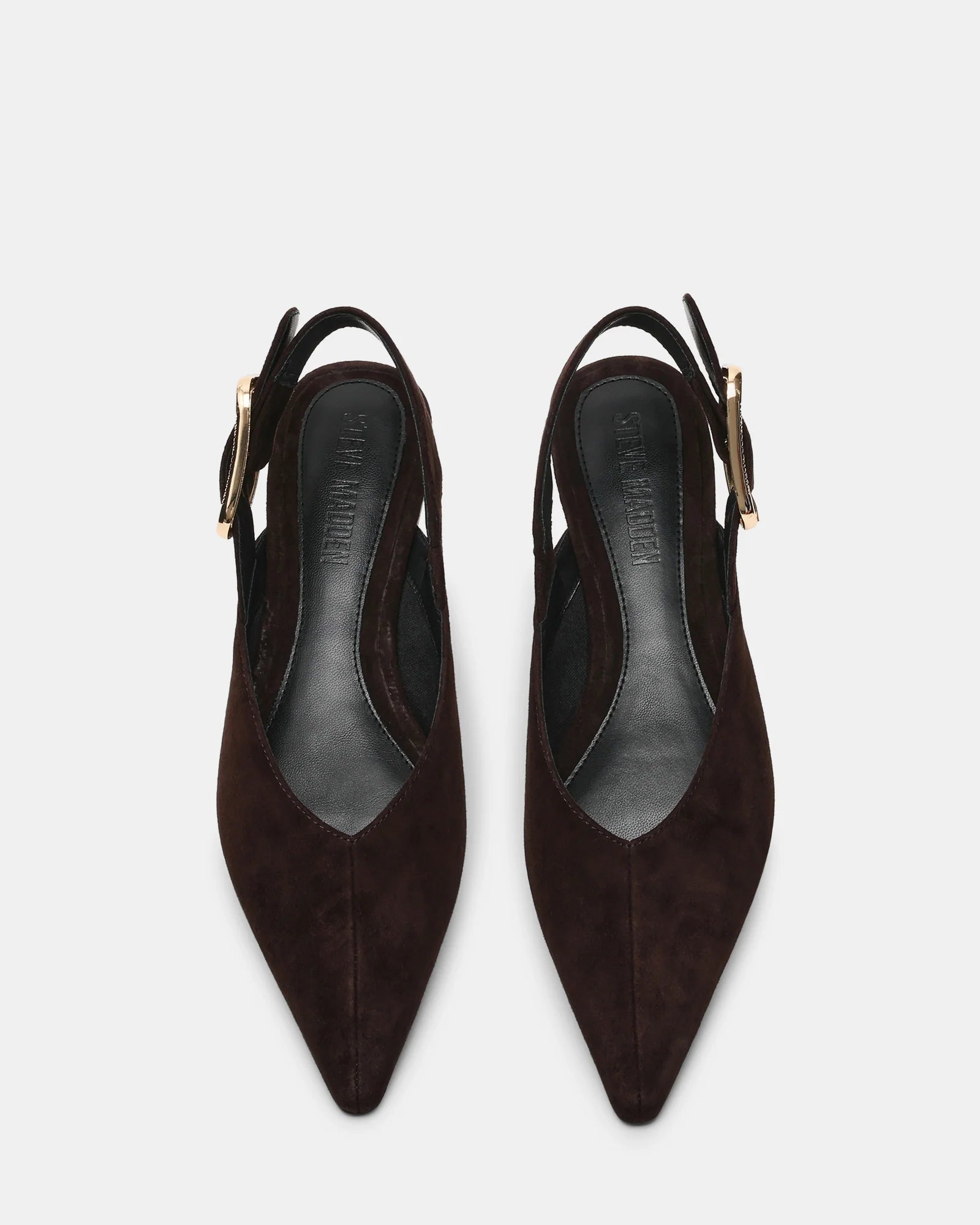 Steve Madden Suede Buckle Detail Pointed Toe Flat in Dark Brown