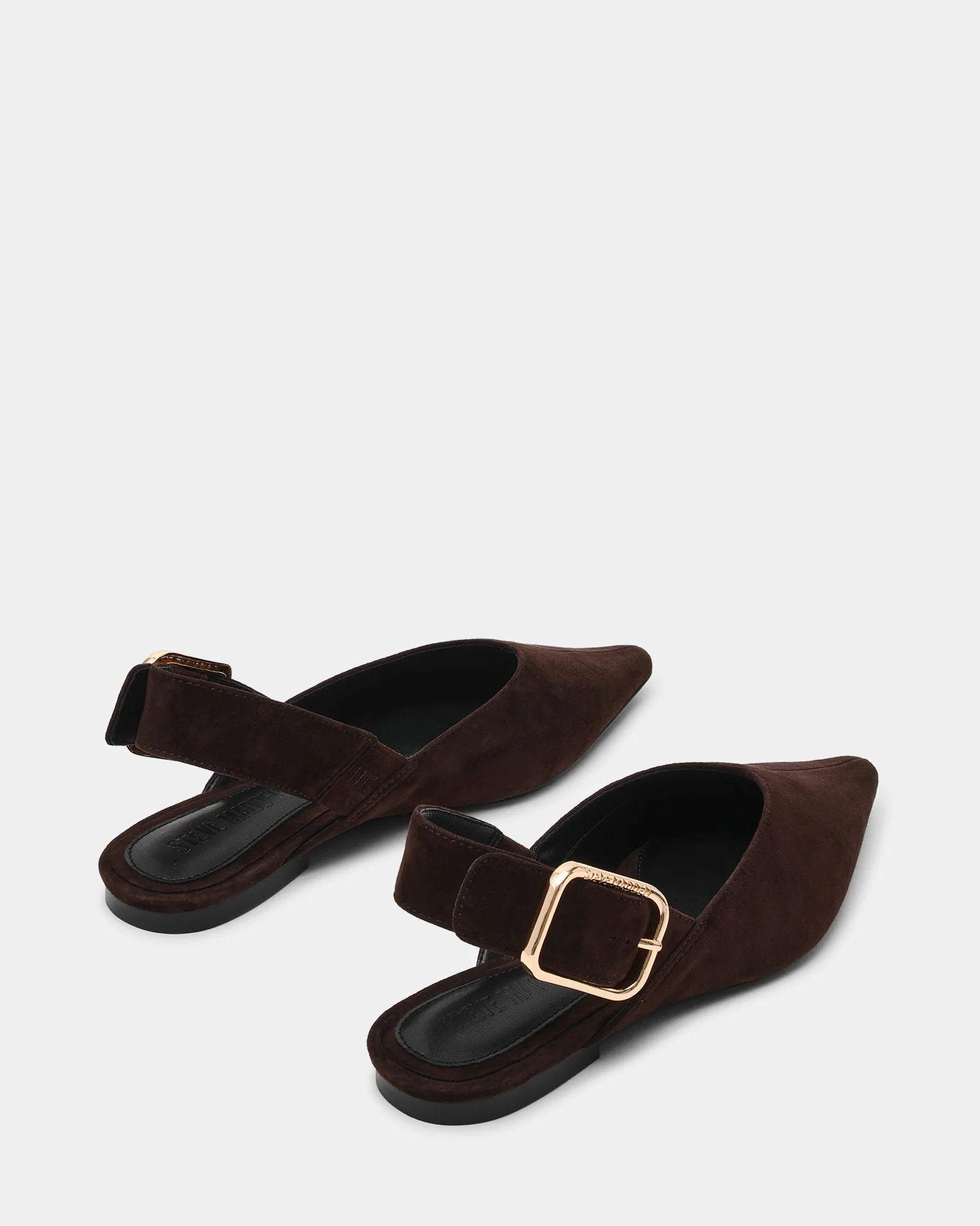 Steve Madden Suede Buckle Detail Pointed Toe Flat in Dark Brown