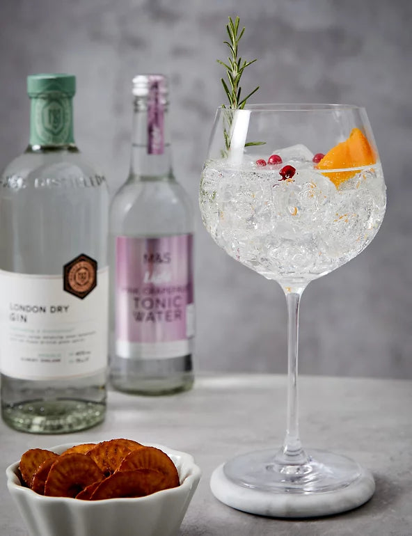M & S GIN PAIRING & NIBBLES GIFT SET