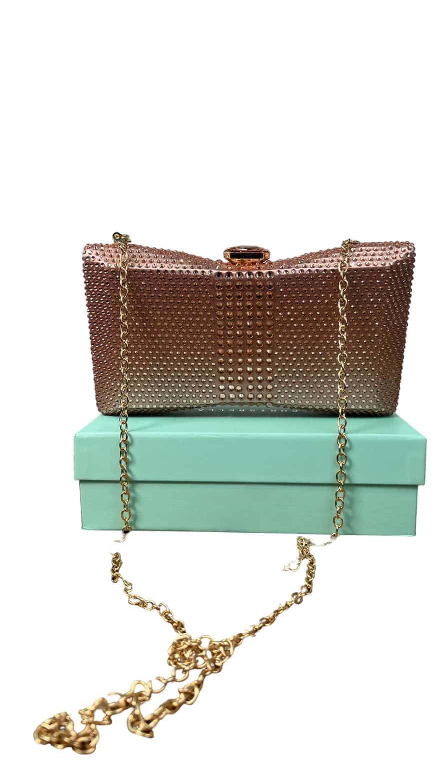 CHRISBELLA CHAMPAGNE CRYSTAL EMBELLISHED CLUTCH PURSE